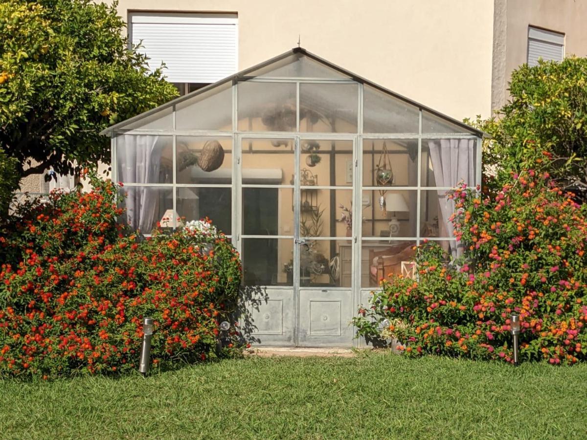 "Mas Tramontane "Chambres D'Hotes Et Studio Avec Piscine Dans Parc Arbore Ille-sur-Tet Exterior photo