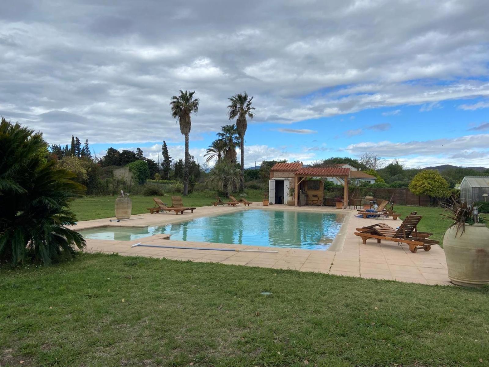 "Mas Tramontane "Chambres D'Hotes Et Studio Avec Piscine Dans Parc Arbore Ille-sur-Tet Exterior photo